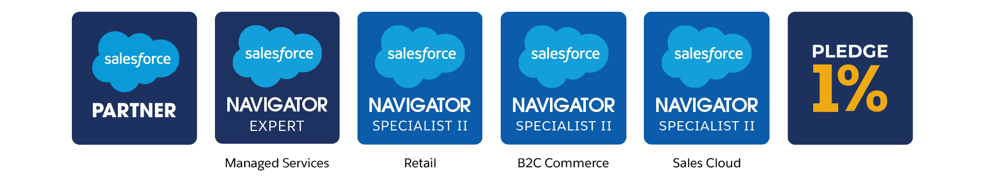 Salesforce Awards